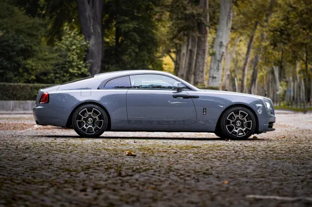 Casino Cyber Bingo Android/iOS Forrit